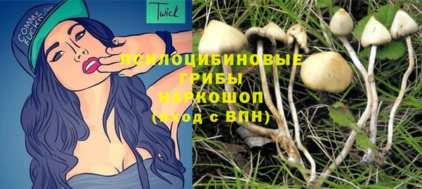 герыч Бородино