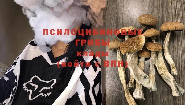 прущие крисы Волосово